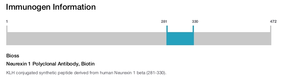 Neurexin 1 Polyclonal Antibody, Biotin