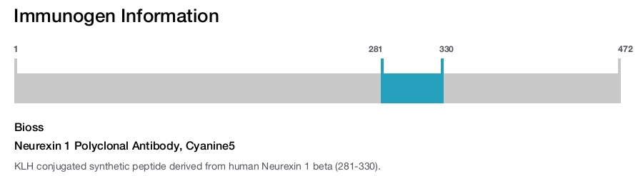 Neurexin 1 Polyclonal Antibody, Cyanine5