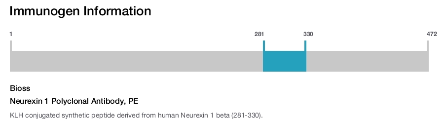 Neurexin 1 Polyclonal Antibody, PE