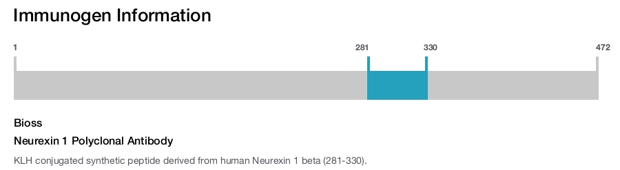 Neurexin 1 Polyclonal Antibody