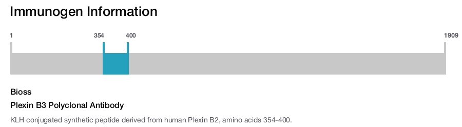 Plexin B3 Polyclonal Antibody