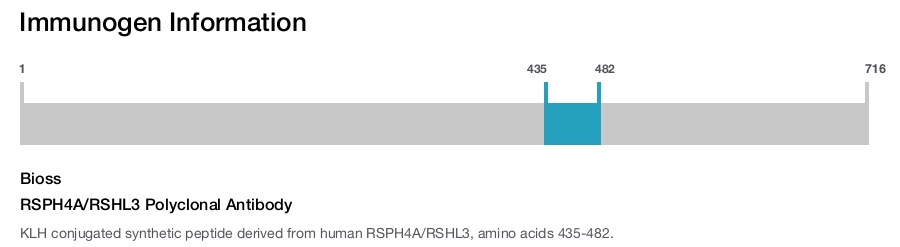 RSPH4A/RSHL3 Polyclonal Antibody