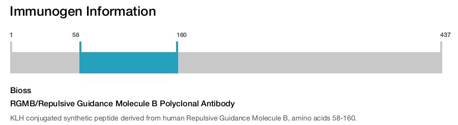 RGMB/Repulsive Guidance Molecule B Polyclonal Antibody