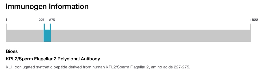 KPL2/Sperm Flagellar 2 Polyclonal Antibody
