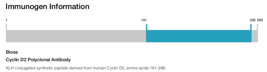 Cyclin D2 Polyclonal Antibody