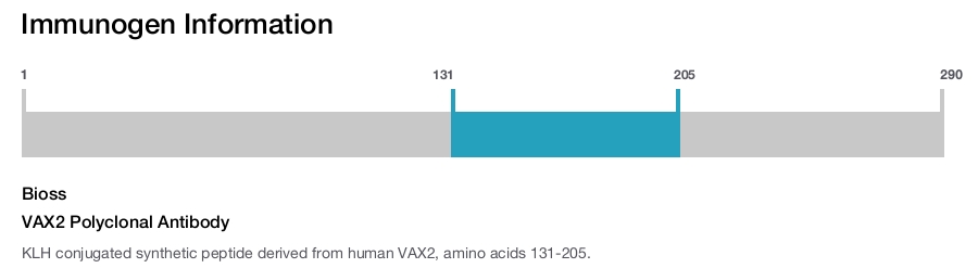 VAX2 Polyclonal Antibody