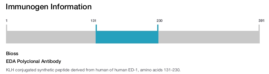 EDA Polyclonal Antibody