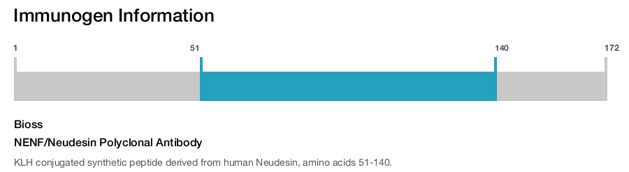 NENF/Neudesin Polyclonal Antibody
