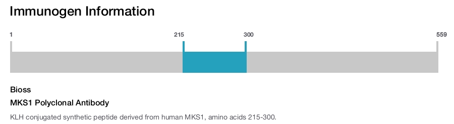 MKS1 Polyclonal Antibody