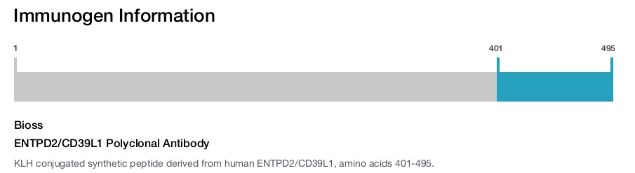 ENTPD2/CD39L1 Polyclonal Antibody