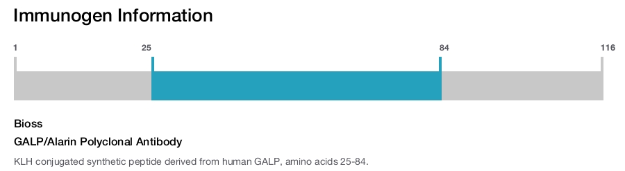 GALP/Alarin Polyclonal Antibody