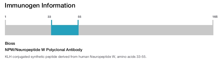 NPW/Neuropeptide W Polyclonal Antibody