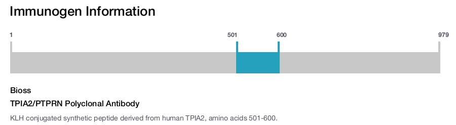 TPIA2/PTPRN Polyclonal Antibody