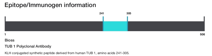 TUB 1 Polyclonal Antibody