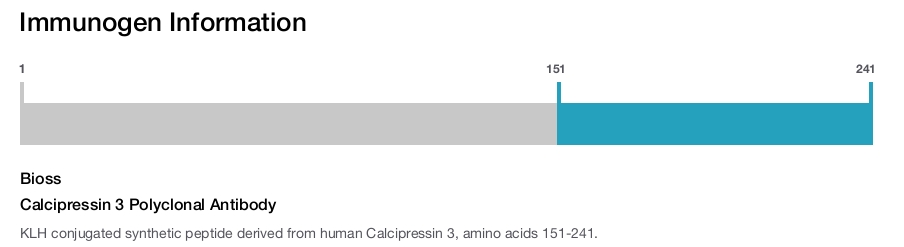 Calcipressin 3 Polyclonal Antibody
