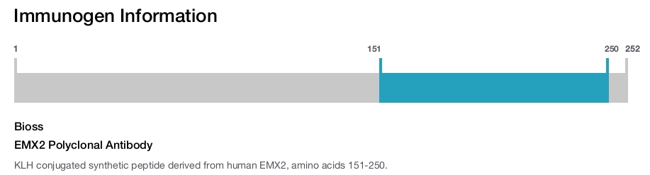 EMX2 Polyclonal Antibody