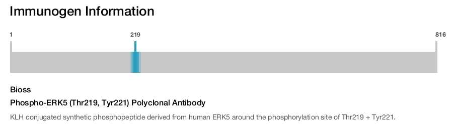 Phospho-ERK5 (Thr219, Tyr221) Polyclonal Antibody