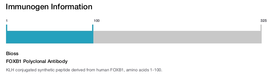FOXB1 Polyclonal Antibody