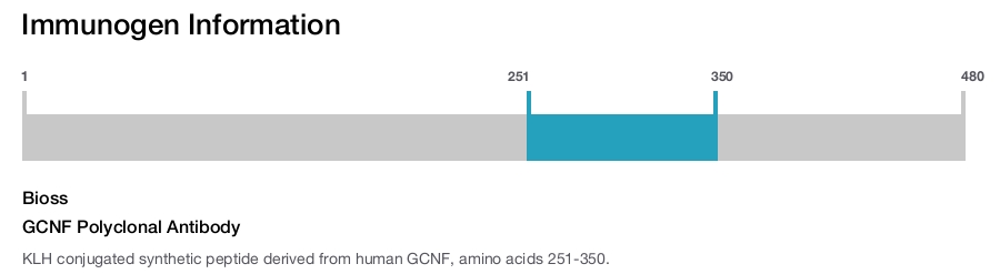 GCNF Polyclonal Antibody