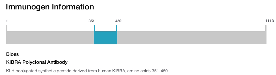 KIBRA Polyclonal Antibody