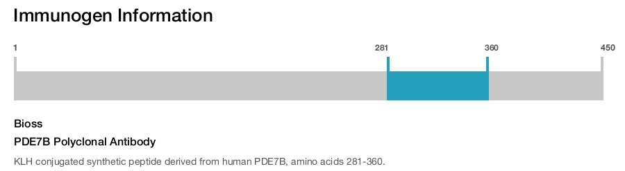 PDE7B Polyclonal Antibody