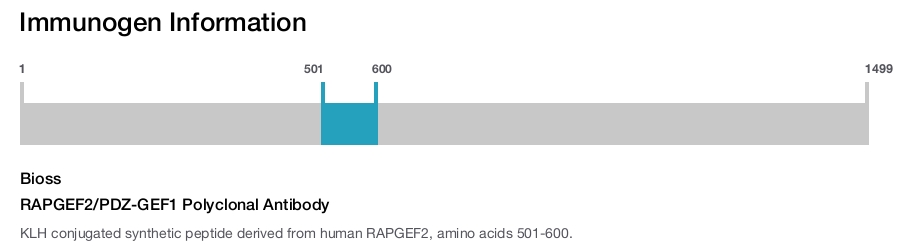 RAPGEF2/PDZ-GEF1 Polyclonal Antibody
