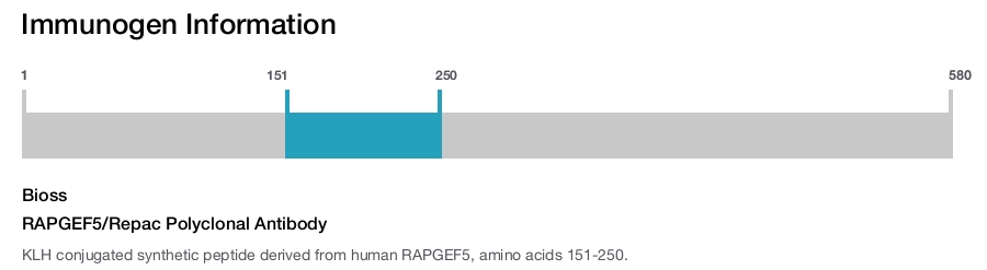 RAPGEF5/Repac Polyclonal Antibody