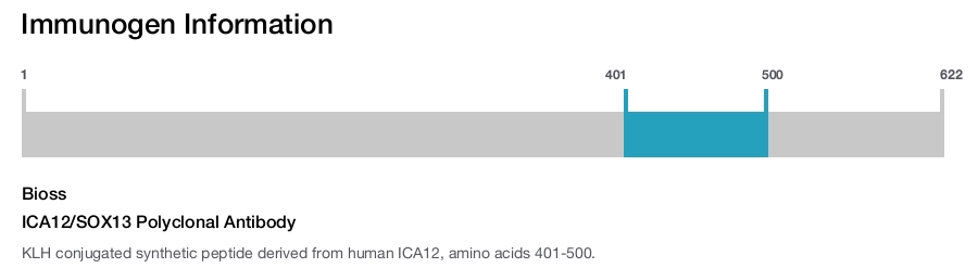 ICA12/SOX13 Polyclonal Antibody