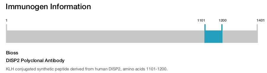 DISP2 Polyclonal Antibody