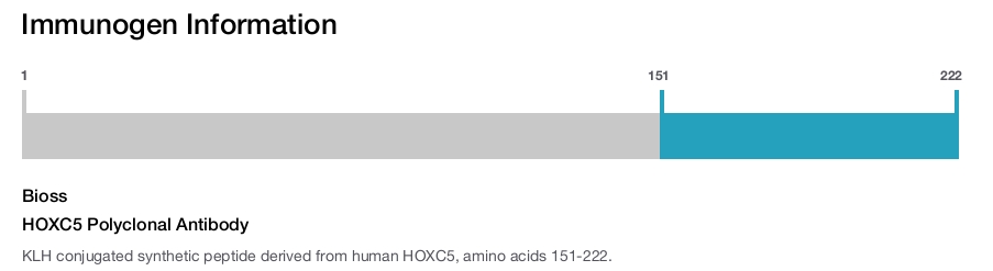 HOXC5 Polyclonal Antibody