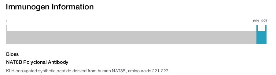 NAT8B Polyclonal Antibody