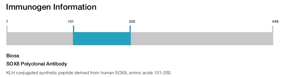 SOX8 Polyclonal Antibody