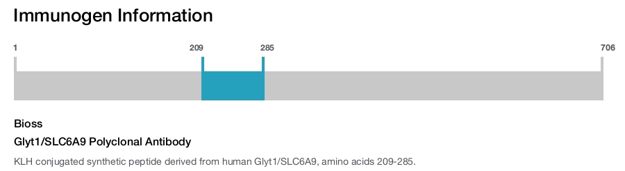 Glyt1/SLC6A9 Polyclonal Antibody