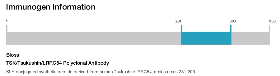 TSK/Tsukushin/LRRC54 Polyclonal Antibody