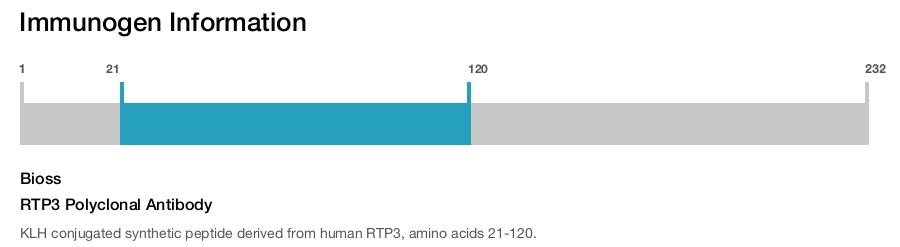RTP3 Polyclonal Antibody