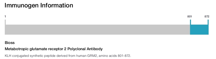 Metabotropic glutamate receptor 2 Polyclonal Antibody