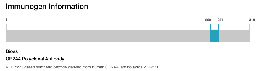 OR2A4 Polyclonal Antibody