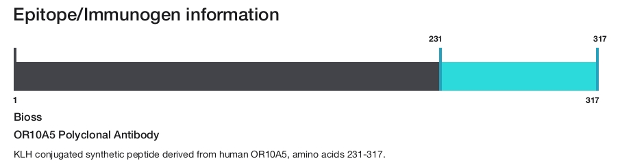 OR10A5 Polyclonal Antibody
