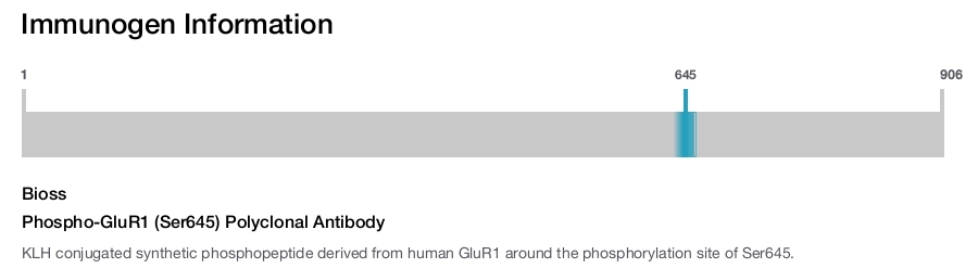 Phospho-GluR1 (Ser645) Polyclonal Antibody