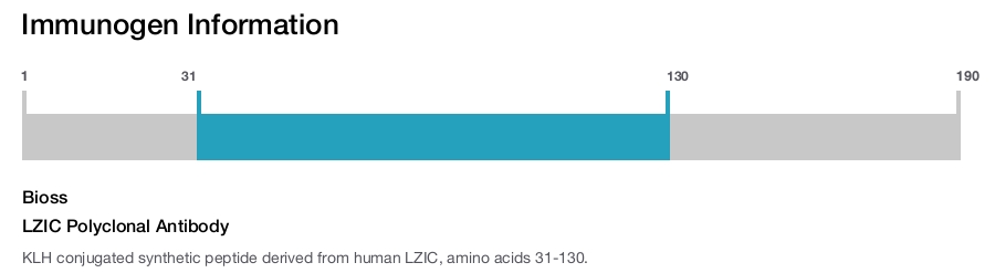 LZIC Polyclonal Antibody