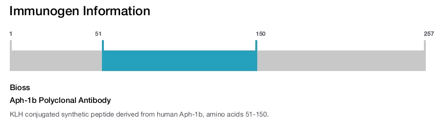 Aph-1b Polyclonal Antibody