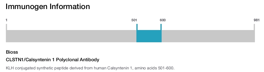 CLSTN1/Calsyntenin 1 Polyclonal Antibody