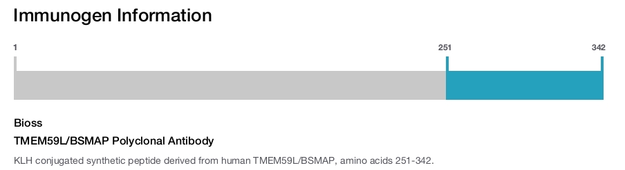 TMEM59L/BSMAP Polyclonal Antibody