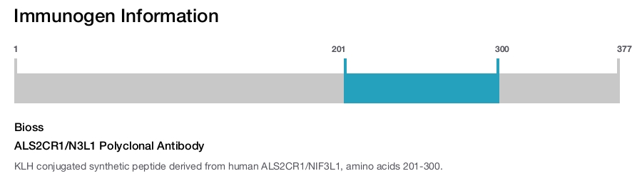 ALS2CR1/N3L1 Polyclonal Antibody