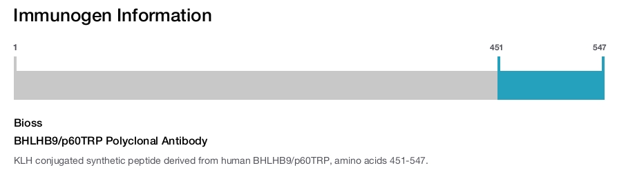 BHLHB9/p60TRP Polyclonal Antibody