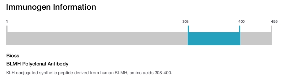 BLMH Polyclonal Antibody