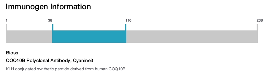 COQ10B Polyclonal Antibody, Cyanine3