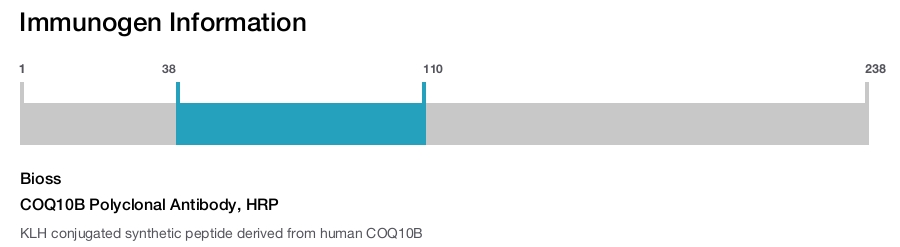 COQ10B Polyclonal Antibody, HRP
