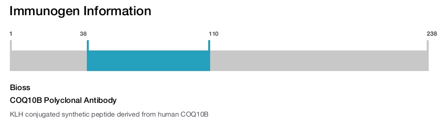 COQ10B Polyclonal Antibody