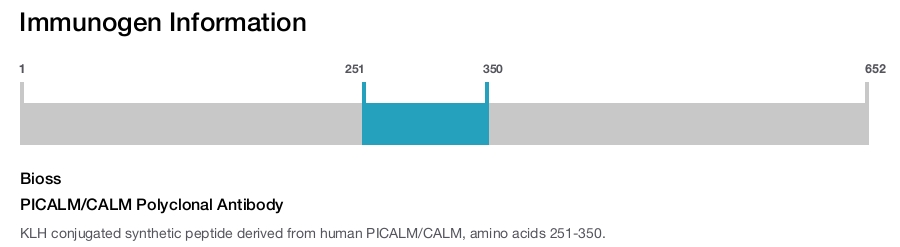 PICALM/CALM Polyclonal Antibody